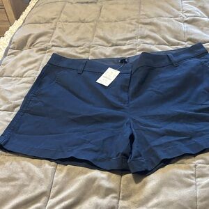 J. Crew Navy Blue Chino-Style Shorts
